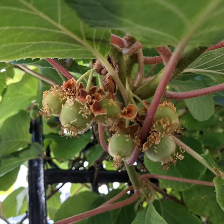 Havre De Paix A 200 M De Paris Clichy