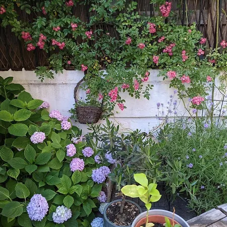 Feriehus Havre De Paix A 200 M De Paris