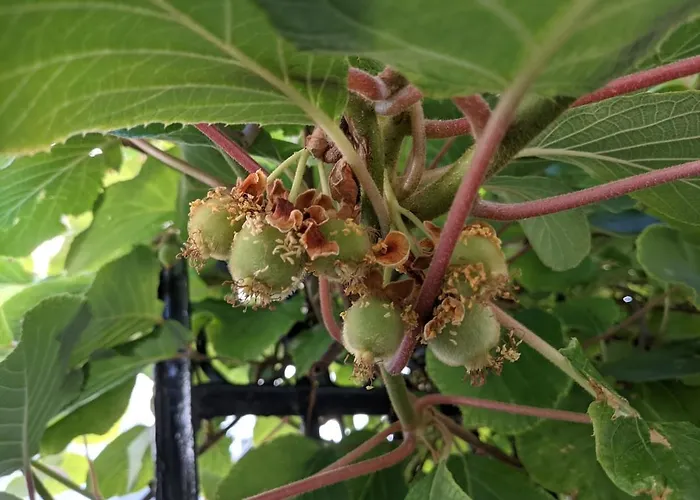 Havre De Paix A 200 M De Paris Clichy