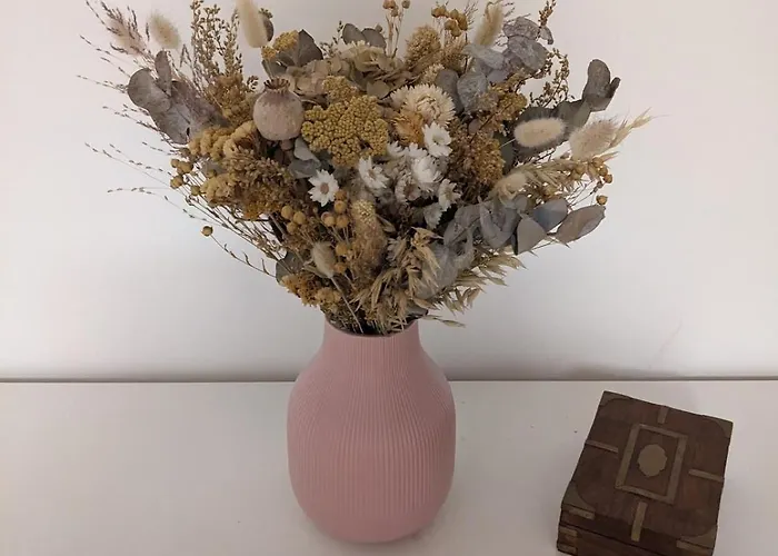 Havre De Paix A 200 M De Paris Feriehus *